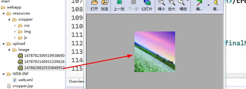 上传之后的图片