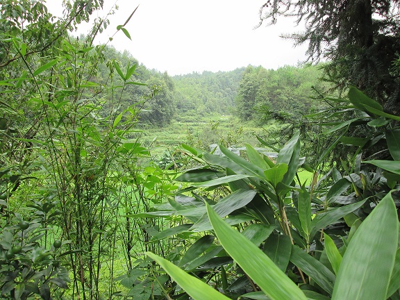 这里写图片描述