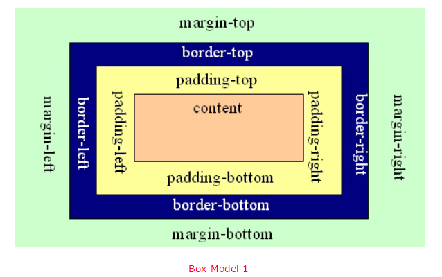 元素盒子模型