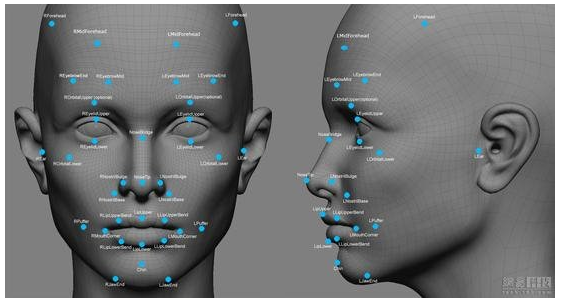 谷歌DeepMind识别算法新突破：一眼“看清”物体