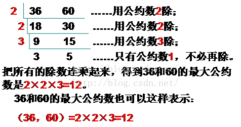 细说算法 最大公约数 网络 麦田里的码农 Csdn博客