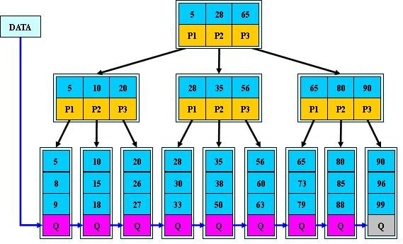 Database Common Index Analysis (B Tree, B-tree, B+ Tree, B* Tree ...