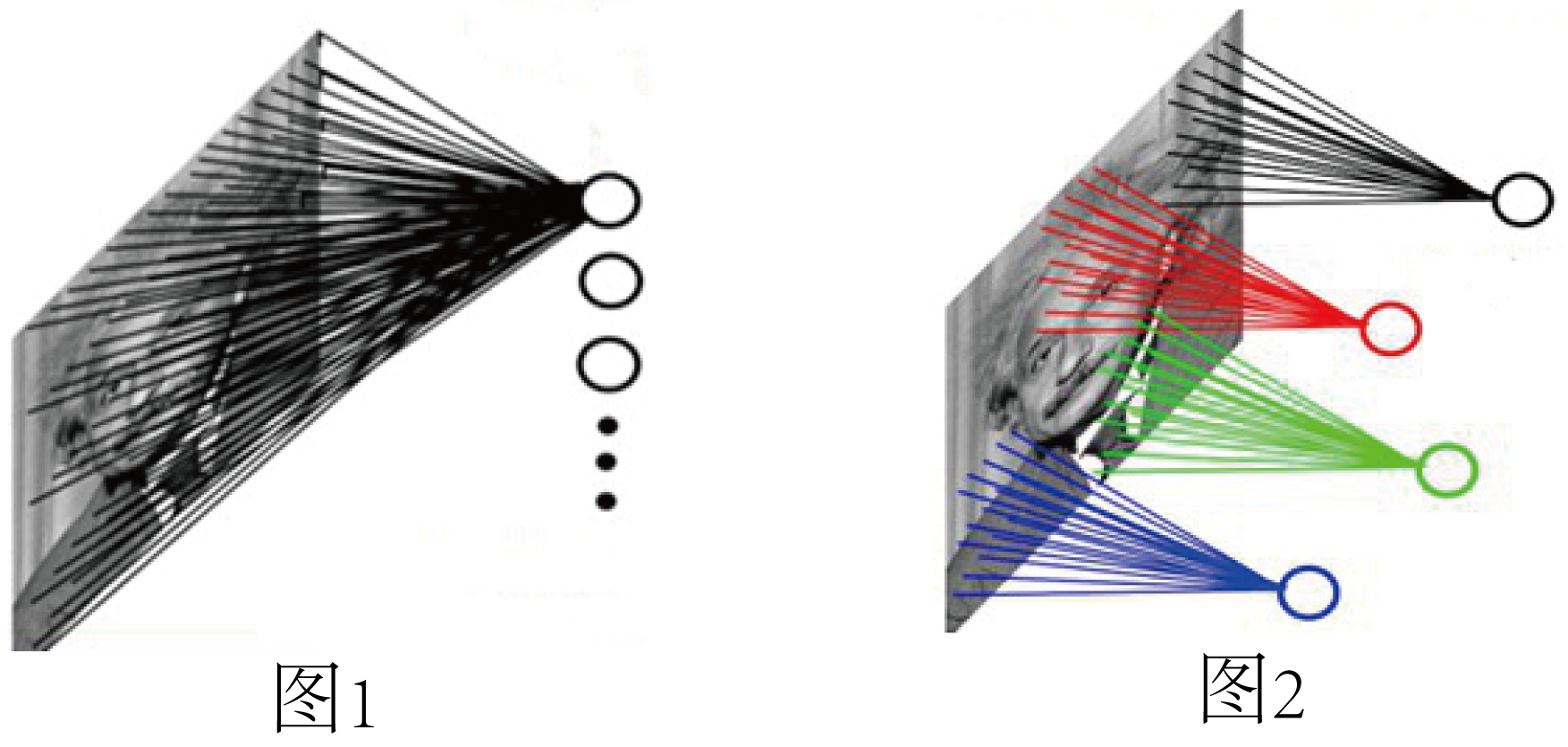方方教授课题组采用了基于fMRI的群感受野匹配技术，对早期视觉皮层V1-V3中编码不同感知距离的视觉客体的神经元群感受野位置进行测量，并结合 ...