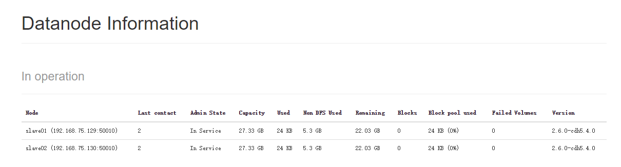 两个datanode信息