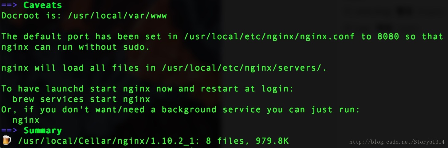nginx install success