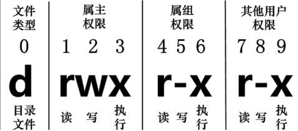 文件信息