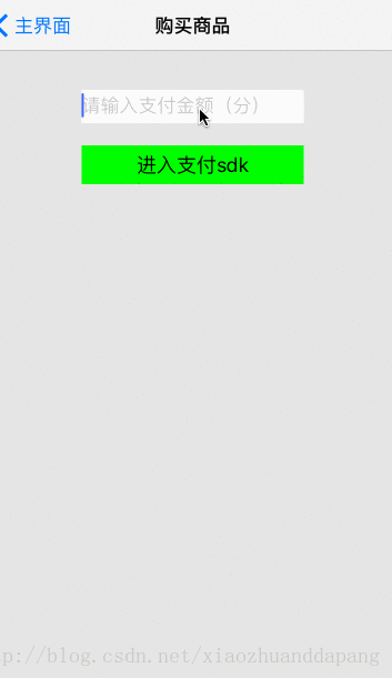 支付sdk流程图
