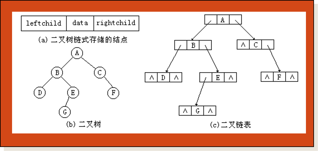 二叉树