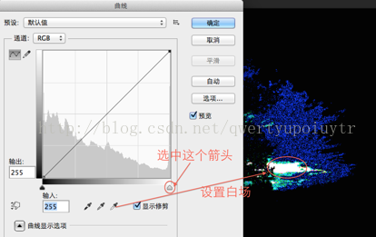 手把手教你在Photoshop中使用曲线工具