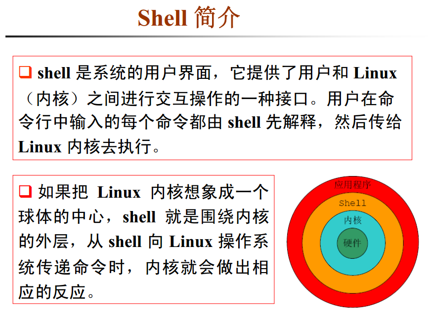 shell是什么意思中文图片