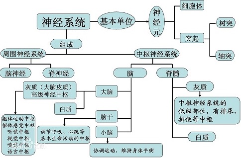 医学图像处理(医学图像处理研究生就业选择)