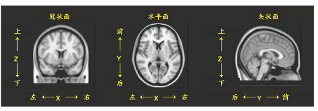 医学图像处理(医学图像处理研究生就业选择)