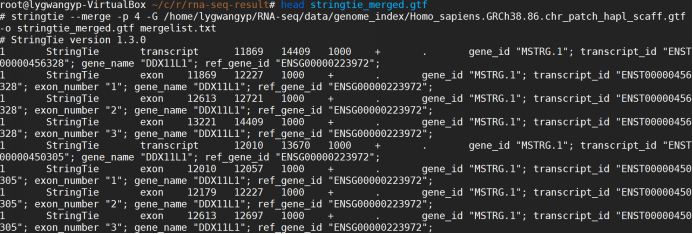 RNA-seq流程报告