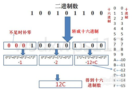 二进制、八进制、十进制、十六进制之间的转换