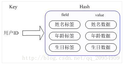 hashs存储结构图