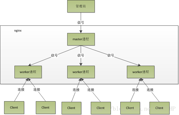 nginx 模型