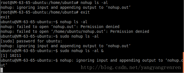 Linux nohup не работает