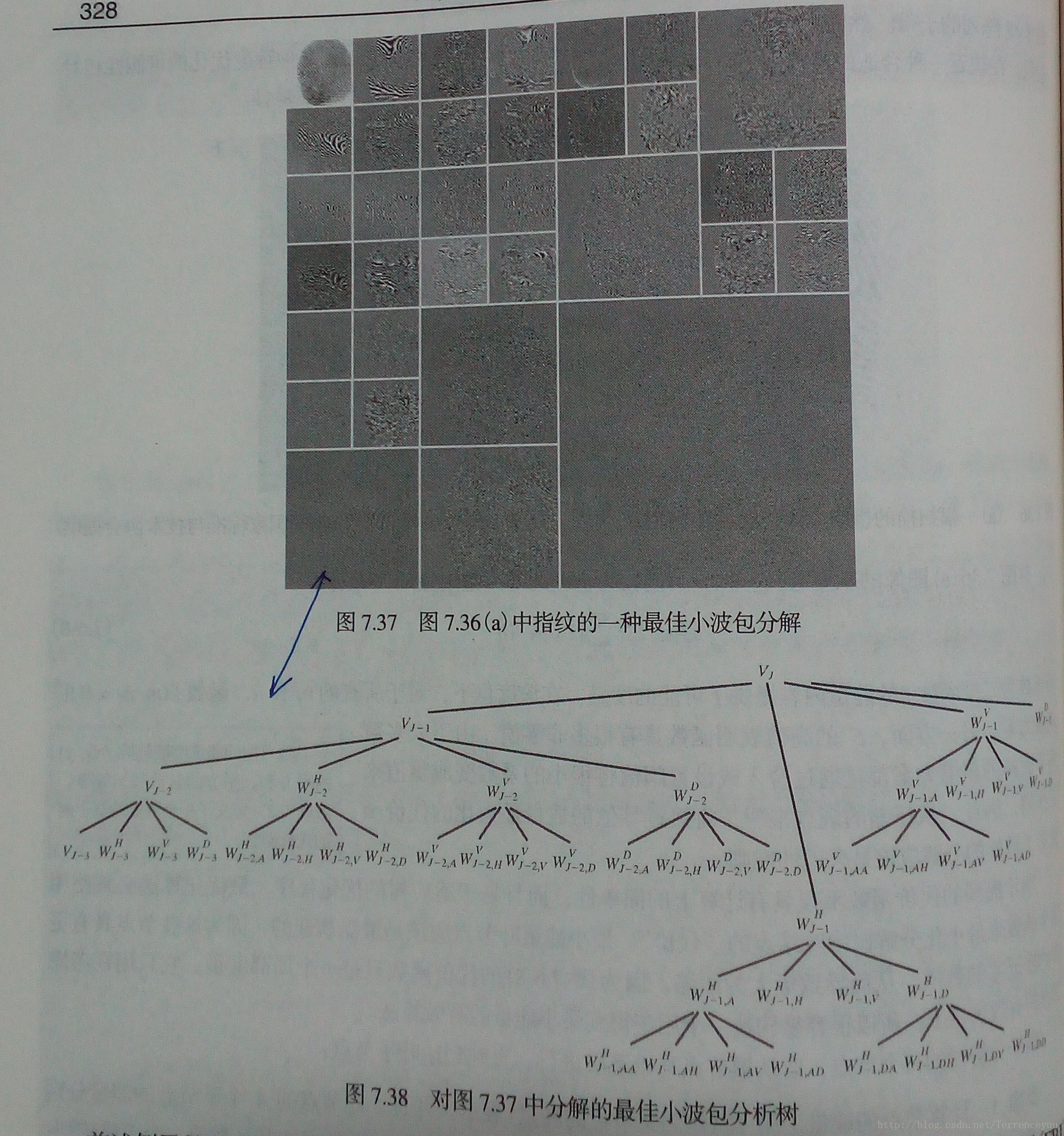 小波变换在数字图像上的应用（上）