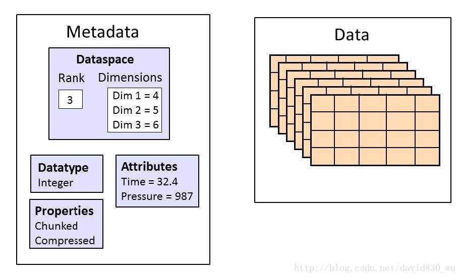 dataset