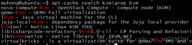 KVM安裝圖檢測