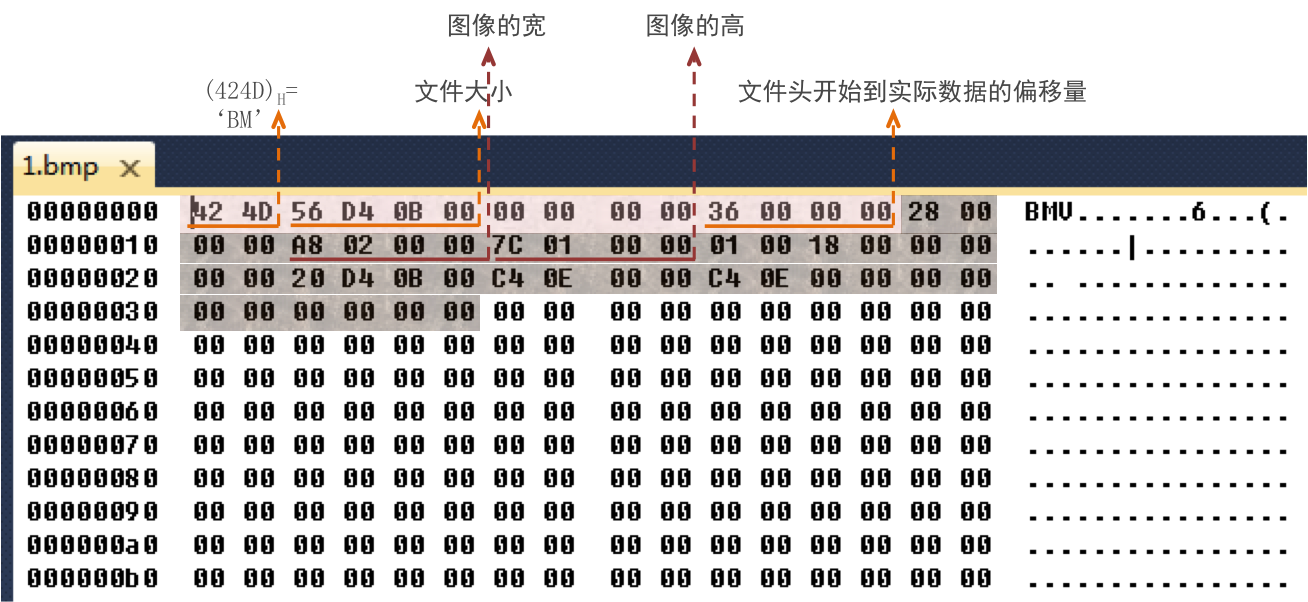 位图图像文件格式图片