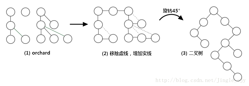 orchard2binaryTree