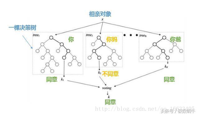 相亲随机森林