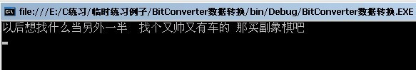 C#中BitConverter.ToUInt16()和BitConverter.ToString（）的简单使用_c# Bitconverter ...