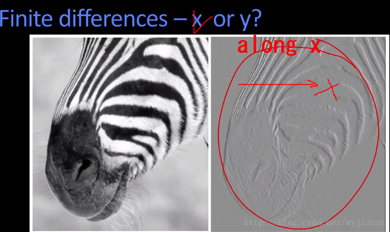 finite-difference