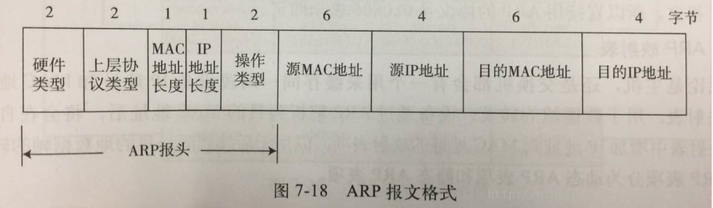 arp icmp 等报文格式