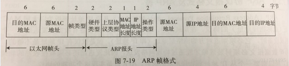 ARP协议报文格式及ARP表