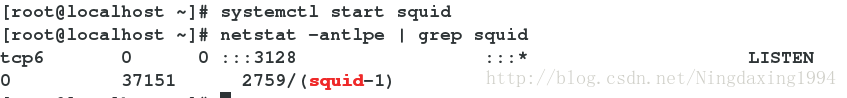 
			
				Linux运维笔记-文档总结-正向代理和反向代理			