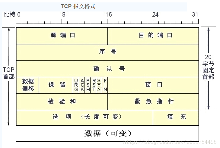 TCP报文格式