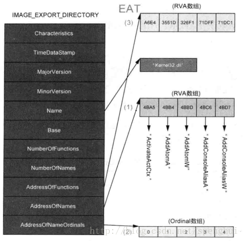 Export Directory