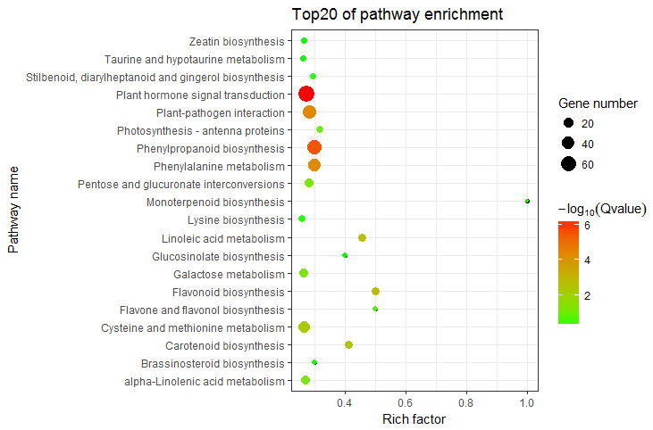 R语言ggplot2绘图教程u2014u2014Pathway富集分析气泡图_宁生信-程序员宝宝 