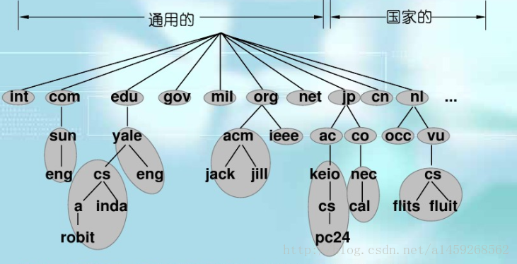 域名伺服器的例子