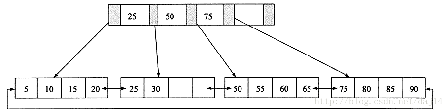 B+树