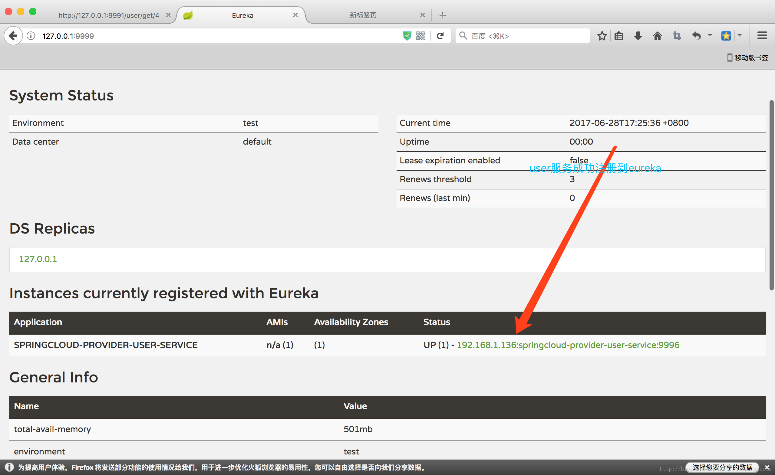 Eureka Server Register