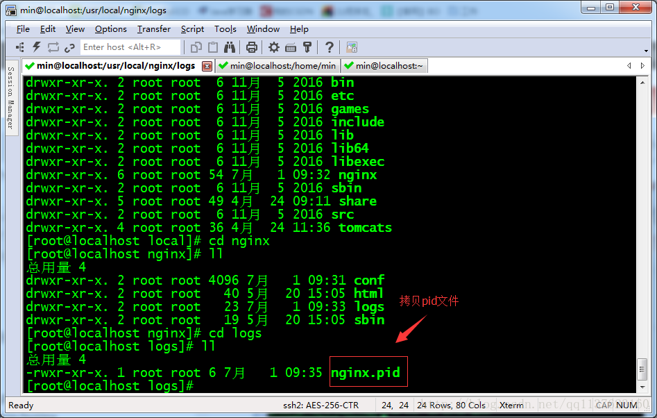 Ping tracert. COBOL Mainframe. COBOL IBM. COBOL язык программирования. Internal nginx error