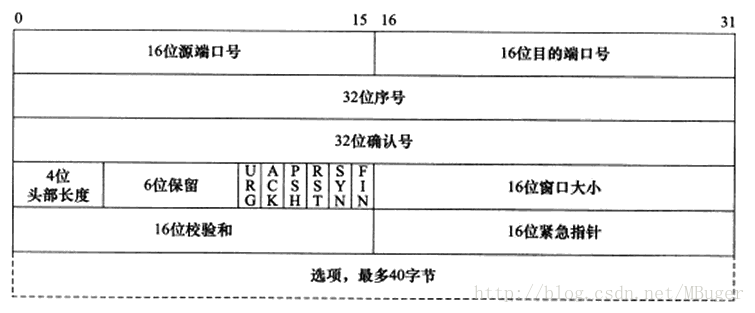 TCP报头