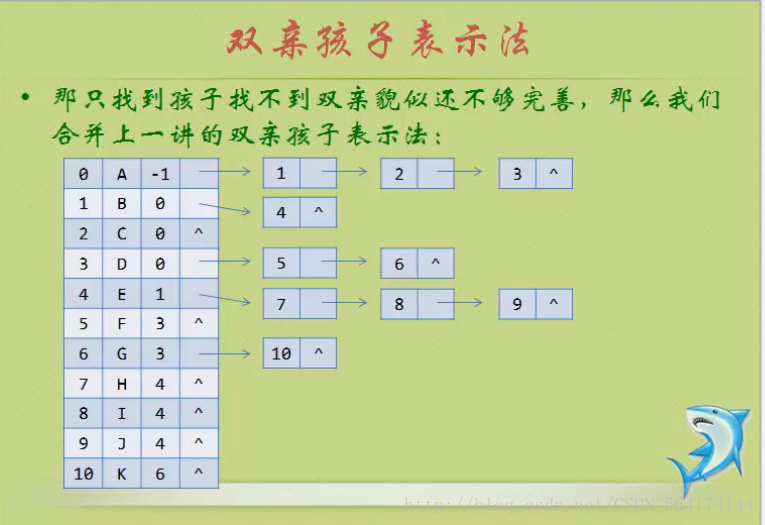 双亲孩子表示法