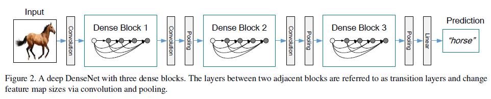 densenet网络结构详解_网络dea模型