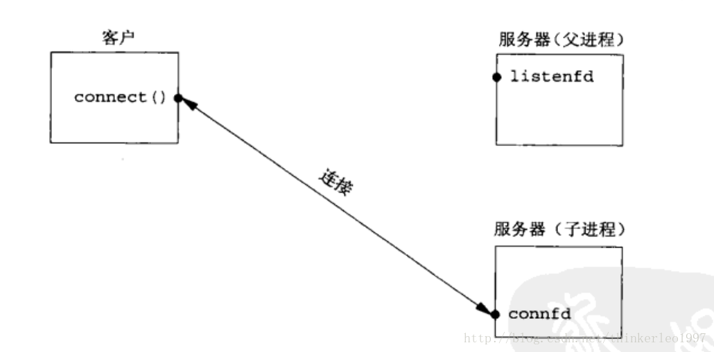 父进程close套接字后服务器/客户端状态