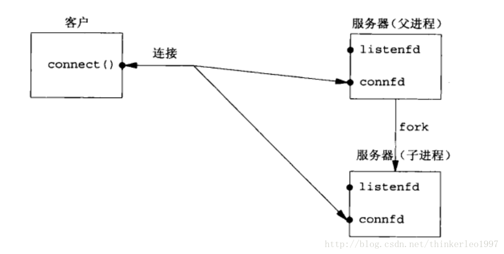 fork返回后服务器/客户端状态