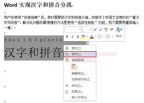 Word实现汉字和拼音分离 Sinat 的博客 Csdn博客