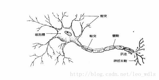 這裡寫圖片描述