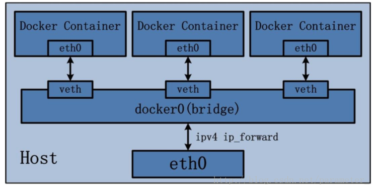 docker网络图