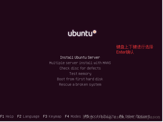选择Install Ubuntu Server