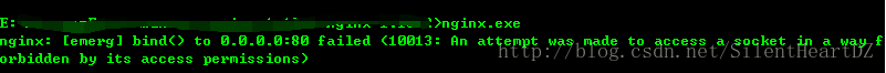 Nginx-10013错误