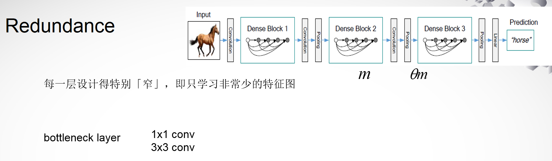 DENSENET_rennet